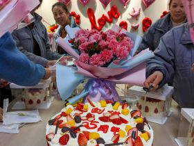 米兰·网站举办三八妇女节活动